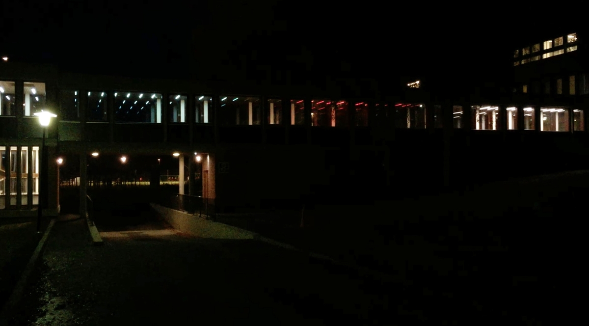 I den lange korridoren som binder hovedbygningen sammen med gymsalen er et stort antall lysarmaturer montert av kunstneren Børre Sæthre. RGB-LED-lysarmaturene, integrert i taket og programmert i forskjellige intervaller skaper en bølge av bevegelse. Sekvensene av intervaller er direkte inspirert av ulike bevegelsesmønstre fra idrett som for eksempel sommerfugl svømming eller skøyter. Slik har verket et direkte forhold til de daglige brukerne, da bevegelse er selve utgangspunktet for all forskning og aktivitet ved Idrettshøgskolen.
 
Korridoren har vinduer langs begge sider og et skarpt lys på dagtid, allikevel klarer LED-lysene å lyse trenge gjennom, og på kveldstid kan kunstverket ses på lang avstand i hele området.
 
Et stort antall studenter, ansatte og besøkende går gjennom korridoren hver dag. Mesteparten av tiden brukes korridoren som en del av transportetappe, en passasje fra ett sted til et annet. Allikevel kan området oppfattes som en rolig plass som noen ganger blir brukt som en form for rekreasjonsrom: et rom for alenetid eller for å ha et uformelt møte. Dette blir derfor et ideelt sted for en isolert kunstopplevelse, som forhåpentligvis utløser tilskuerens fantasi om hvilken form for bevegelse lysformasjonen representerer.

Hvert RGB-LED-armatur har 180 dioder i fargene rød, grønn og blå, og kan skape millioner av forskjellige farger og nyanser av lys. Kunstneren relaterer installasjonen til de klare og sterke farger som brukes i sport-tekstiler - for eksempel neonfarger. Den gjentatte strømmen av lys som representerer bevegelse, kan tolkes som byggets egne og fargerike puls.