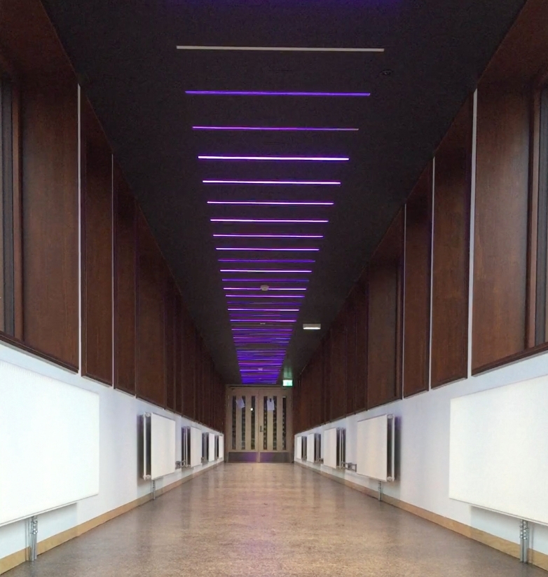 I den lange korridoren som binder hovedbygningen sammen med gymsalen er et stort antall lysarmaturer montert av kunstneren Børre Sæthre. RGB-LED-lysarmaturene, integrert i taket og programmert i forskjellige intervaller skaper en bølge av bevegelse. Sekvensene av intervaller er direkte inspirert av ulike bevegelsesmønstre fra idrett som for eksempel sommerfugl svømming eller skøyter. Slik har verket et direkte forhold til de daglige brukerne, da bevegelse er selve utgangspunktet for all forskning og aktivitet ved Idrettshøgskolen.
 
Korridoren har vinduer langs begge sider og et skarpt lys på dagtid, allikevel klarer LED-lysene å lyse trenge gjennom, og på kveldstid kan kunstverket ses på lang avstand i hele området.
 
Et stort antall studenter, ansatte og besøkende går gjennom korridoren hver dag. Mesteparten av tiden brukes korridoren som en del av transportetappe, en passasje fra ett sted til et annet. Allikevel kan området oppfattes som en rolig plass som noen ganger blir brukt som en form for rekreasjonsrom: et rom for alenetid eller for å ha et uformelt møte. Dette blir derfor et ideelt sted for en isolert kunstopplevelse, som forhåpentligvis utløser tilskuerens fantasi om hvilken form for bevegelse lysformasjonen representerer.

Hvert RGB-LED-armatur har 180 dioder i fargene rød, grønn og blå, og kan skape millioner av forskjellige farger og nyanser av lys. Kunstneren relaterer installasjonen til de klare og sterke farger som brukes i sport-tekstiler - for eksempel neonfarger. Den gjentatte strømmen av lys som representerer bevegelse, kan tolkes som byggets egne og fargerike puls.