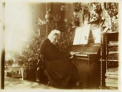 Fru Dorothea Anker f. Arveshoug (1811-1905) avblildet sitten