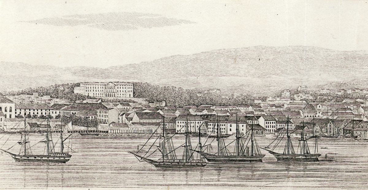 utsikt, vik, seilskip, fjord, slott