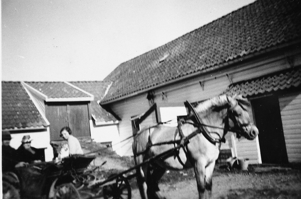Frå tunet på Serigstad gnr. 20, bnr 12. I trilla sit Andreas Serigstad og kona Anna Serigstad med dottera Hanna (1924 - ).
Hanna med ein hund ved sida?