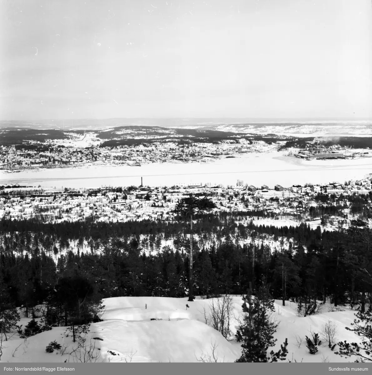 Vy norrut från Södra berget mot Skönsberg. Närmast kameran Stadsmon.