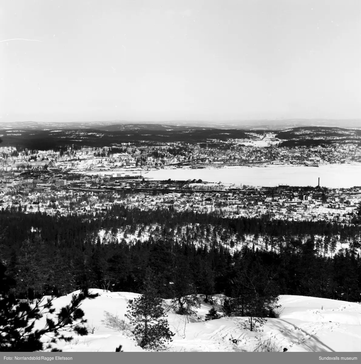 Vy norrut från Södra berget mot Skönsberg. Närmast kameran Stadsmon.