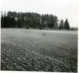 Hubbo sn, Fågelbacken.
Åker i fornlämningsområde vid Fågelbacken, 1938.