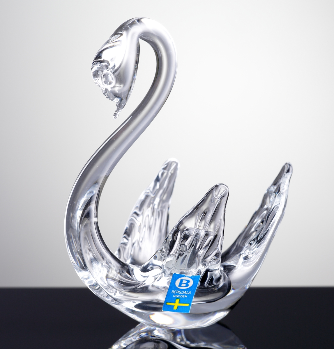 Svan i glas med krökt hals och uppslagna vingar och stjärt.
