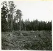 Hubbo sn, Alvesta.
Alvesta 3:1, grav 19-21 från nordväst. 1938.