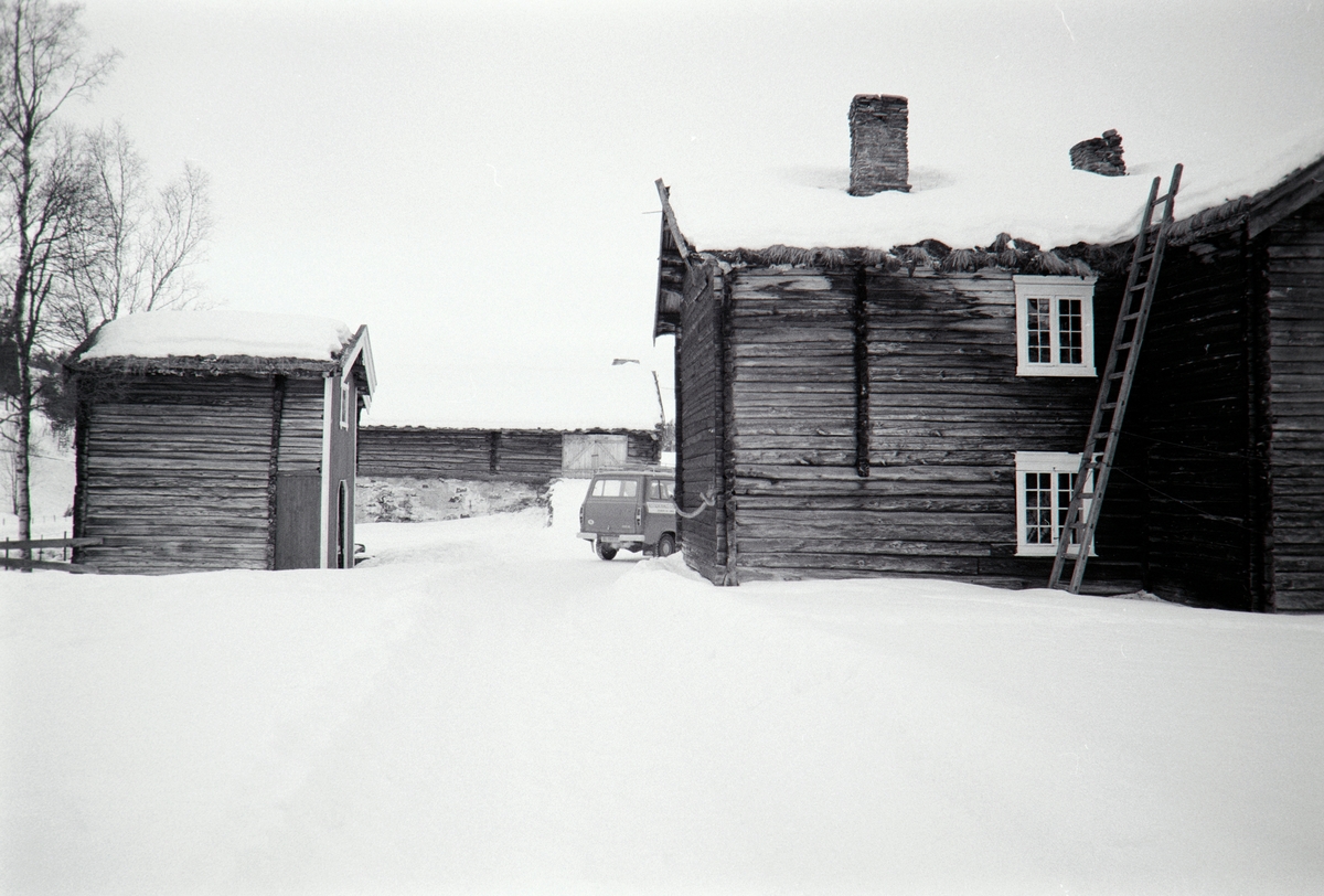 Dølmotunet, Tolga.