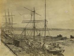 Barken "Campbell" etter syklon. Pensacola (Florida, USA), 19