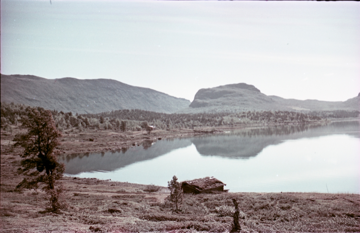 Landskap med et fjellvann i forgrunnen, fjellformasjoner i bakgrunnen. Bildet er tatt på strekningen Maurvangen - Ridderspranget, og vatnet er Nedre Sjodalsvatn ved Heimsund.