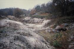 Skalbanksområdet på Kuröd. De vita fälten på marken är skal 