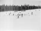 Skidåkare i skog, Riddarhyttan.