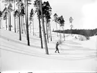 Skidåkare i skog, Riddarhyttan.