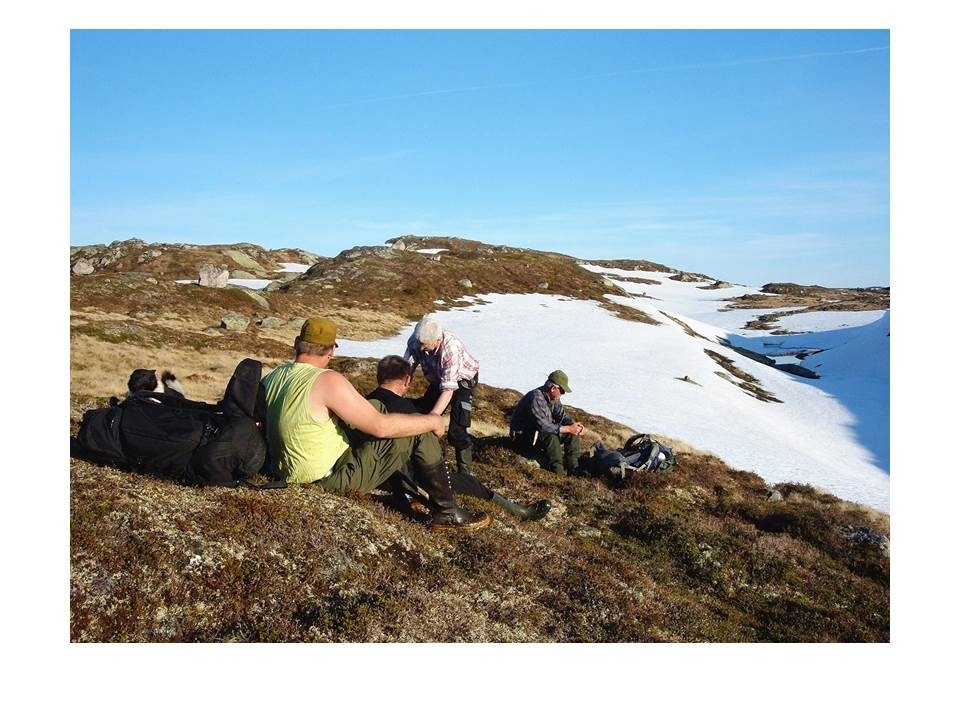 Fra venstre: Svein Kåre Van der Blom, Erik Vigrestad, Karl Martin Mattingsdal og Martin Sikveland tar ein pause. Dei er på vei for å sette opp sauagjerder i heiene.