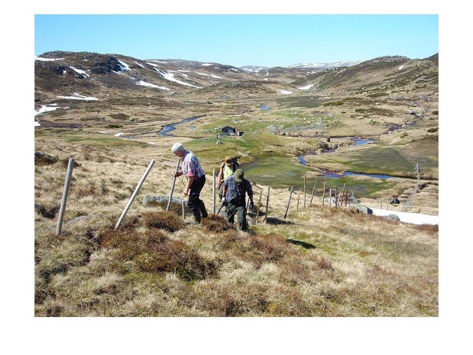 Microsoft PowerPoint presentasjon som presenterer "Jæren Smalalag". Bileta gir fakta om smalalaget, og viser nokre av lagets hytter og sauedrift i Setesdalsheiene.