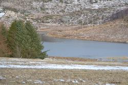Tilsyn med rundt 30 villsauer på vinterbeite på Dyranuten, F