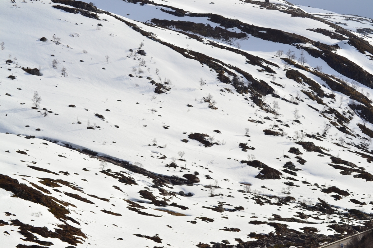 Hytte i Hunnedalen, ved Tverråna. Hytta tilhøyrer Jæren Smalalag.
