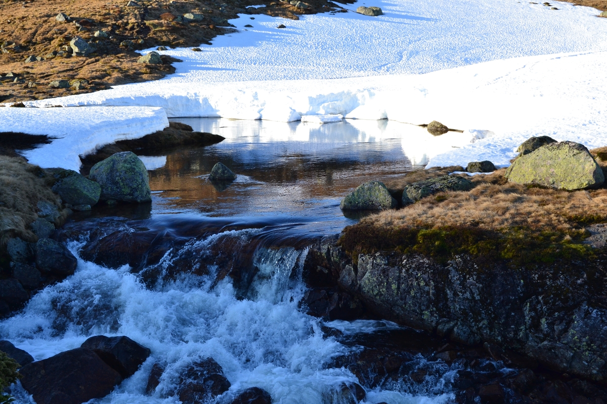 Reinshornåno i Videdalen. Lenger nede renner den inn i Ålgrimsåno.