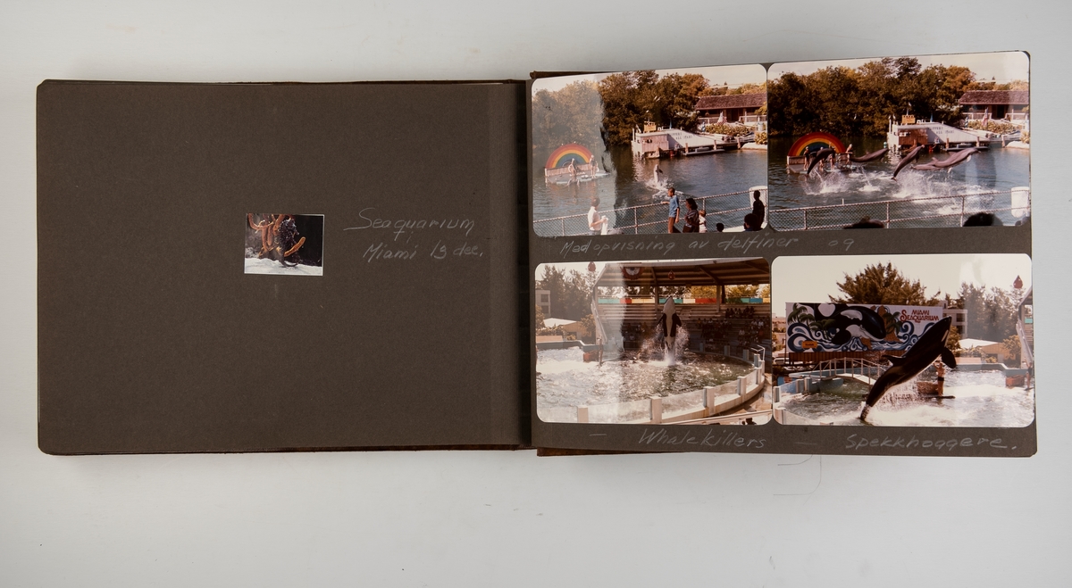 Album med fotografier fra cruise med 'Nordic Prince' i 1985. Cruise til Miami, Martinique og St. Martin.