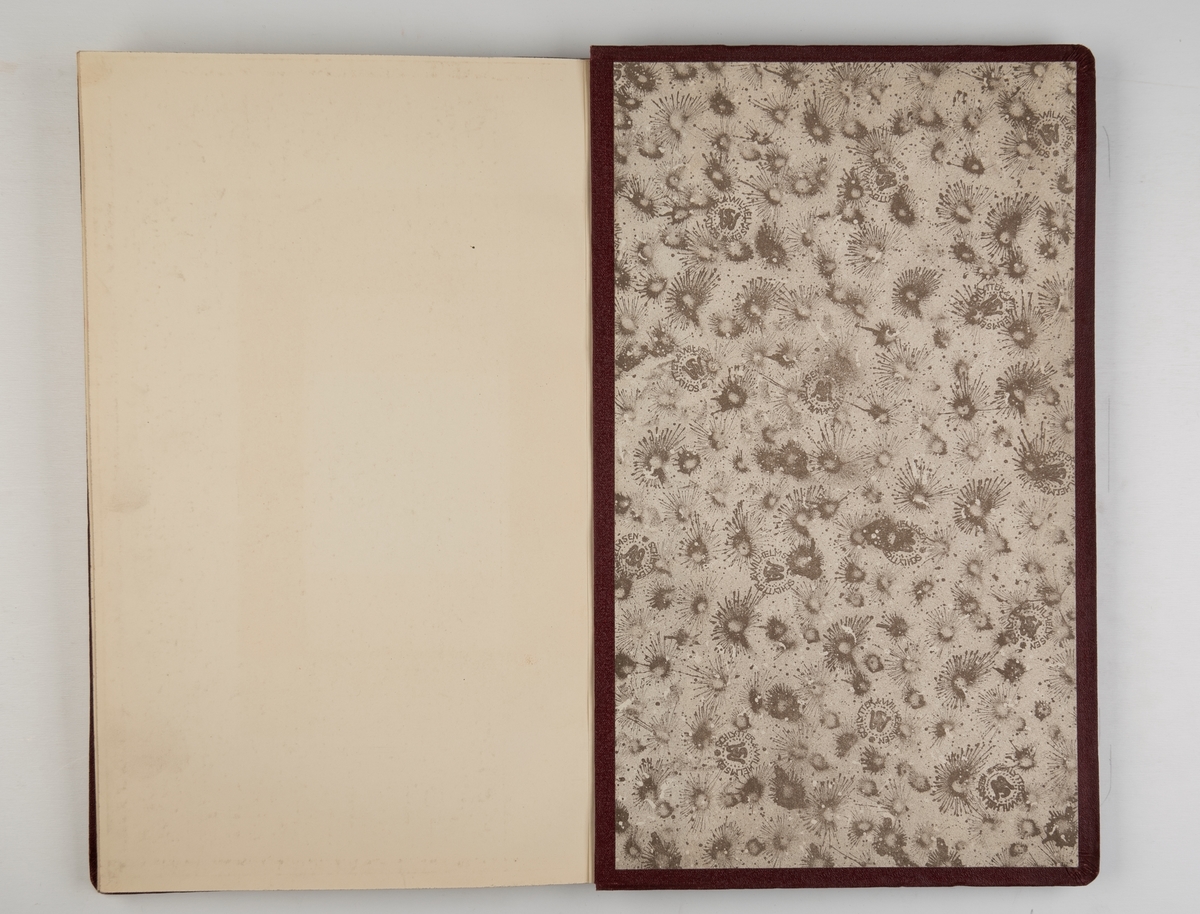 Album med fotografier fra Nylands verksted, samt fartøyer i dokk og skip bygget ved verftet. 'Sjøsprøit I', 'Bergensfjord', 'Brabant', 'Veslefrik', 'Kanon I', 'Globe III', 'Harpun II' og skip under bygging.