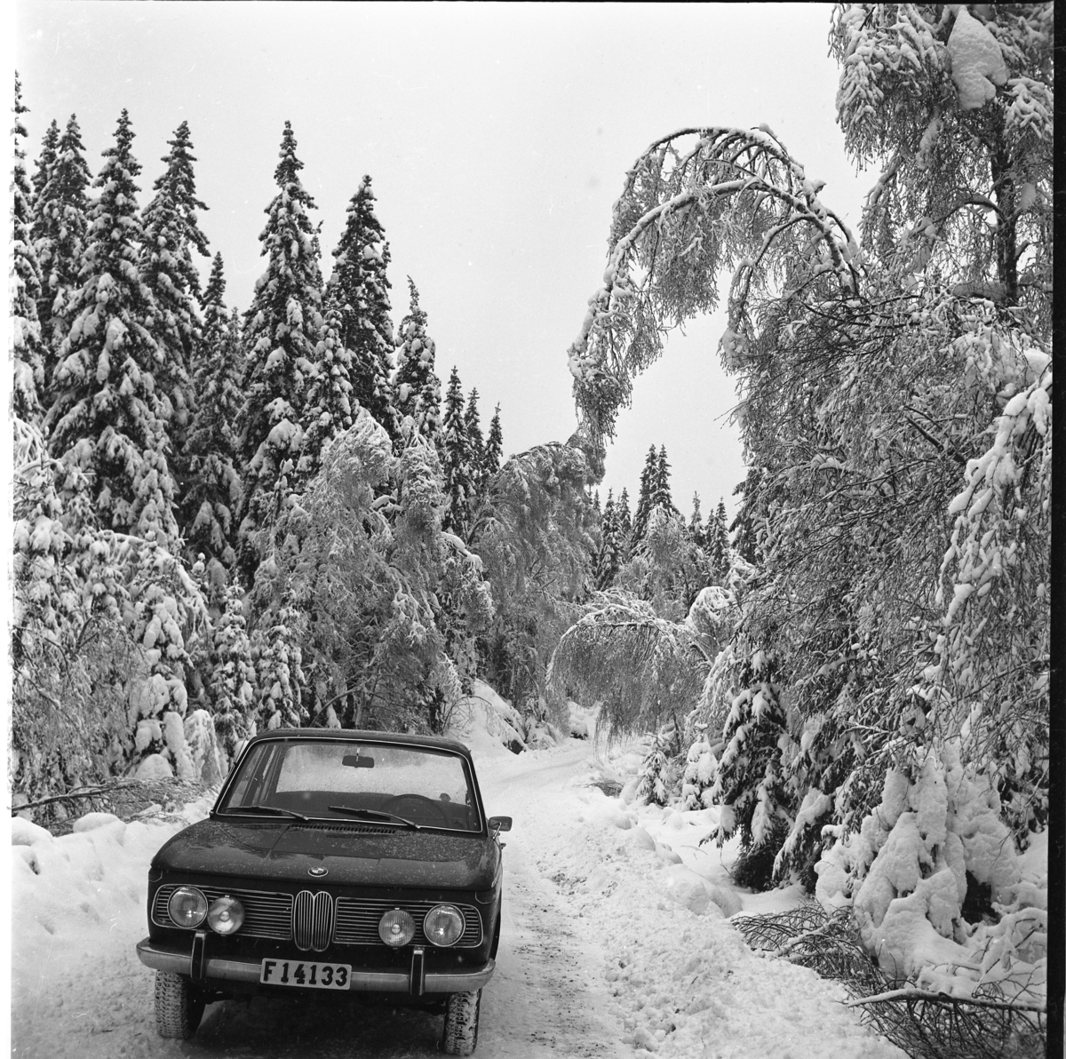 En BMW står parkerad på skogsväg i ett snöigt landskap.