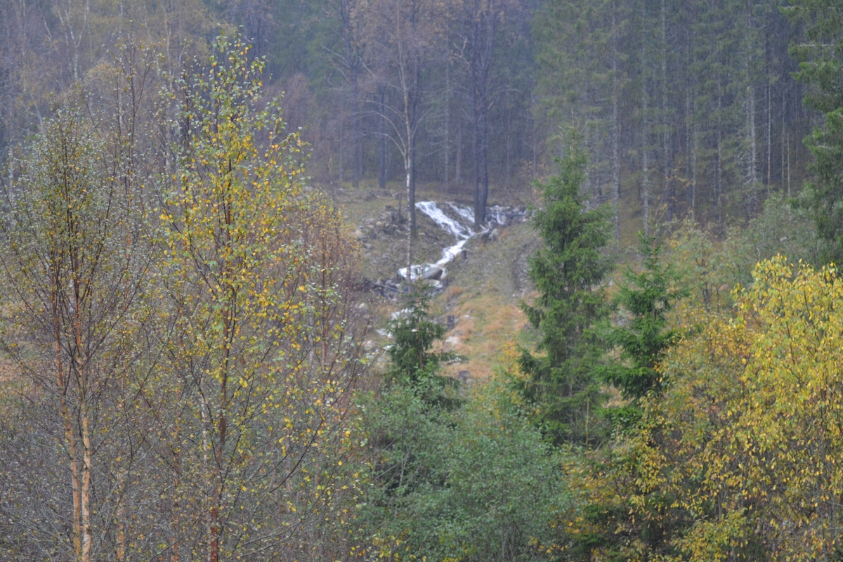 Asbjørn Haga skulle vere med på ettersanking av sauer i heia, men flaum gjorde at dei måtte vente til neste helg. Det var mykje vatn i Langeid. Dei tok med ein flokk med sauer som noken andre hadde tatt ned frå heia.