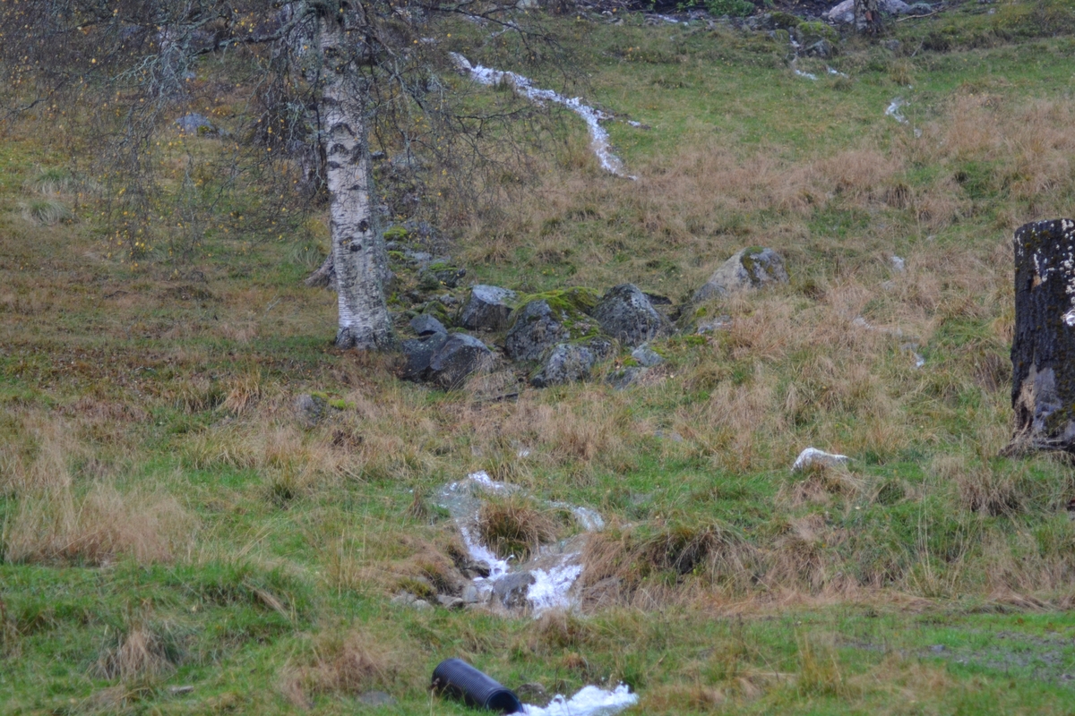 Asbjørn Haga skulle vere med på ettersanking av sauer i heia, men flaum gjorde at dei måtte vente til neste helg. Det var mykje vatn i Langeid. Dei tok med ein flokk med sauer som noken andre hadde tatt ned frå heia.