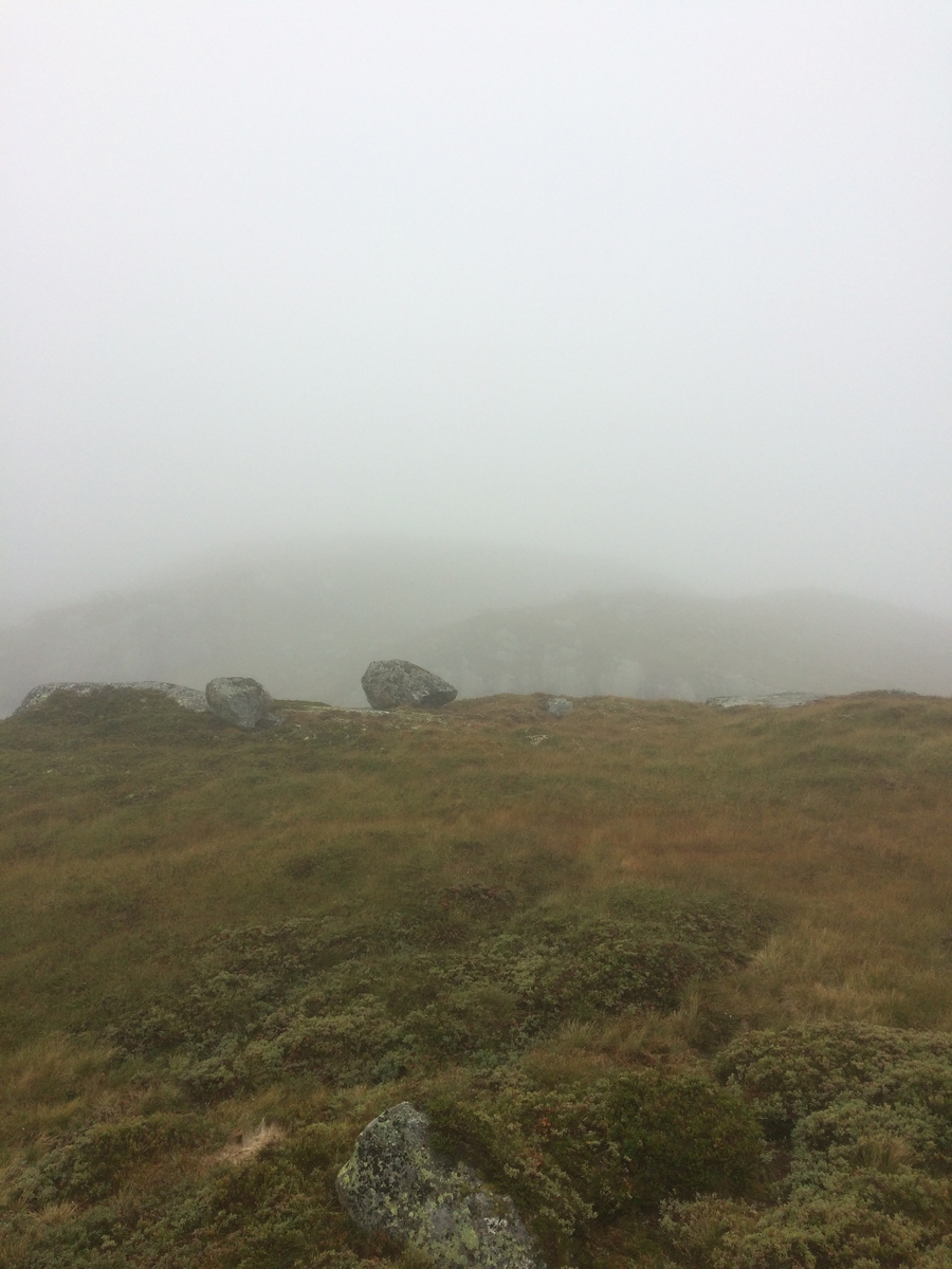 Samling av sauer frå heia. 5000 sauer blir samla ved Flåtå ved Monsvatnet. Bilde 12 og 13 er av eit revehi med mange inngangar. Bilde 14-21 er av Asbjørn Haga og Aina Gjesdal sine sauer.