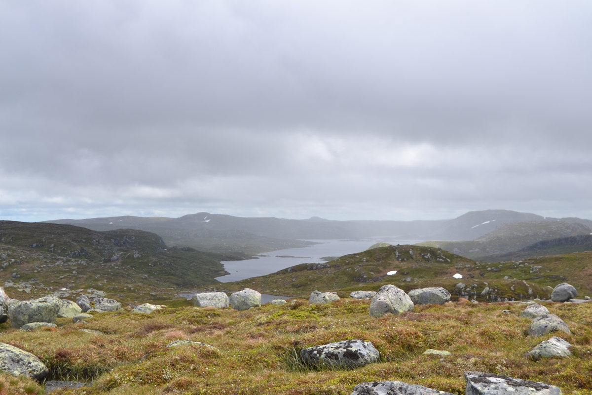 Bilder frå driving av sau frå Sandvigvatnet ved Suleskarvegen til Fjesjevassteane i Langvassheii. Det er rundt 850 sauer i flokken. Dei startar i avslessingsgarden og går langs Rågeloni og over brua som Jæren Smalalag har lagd over Sandvassåna.
