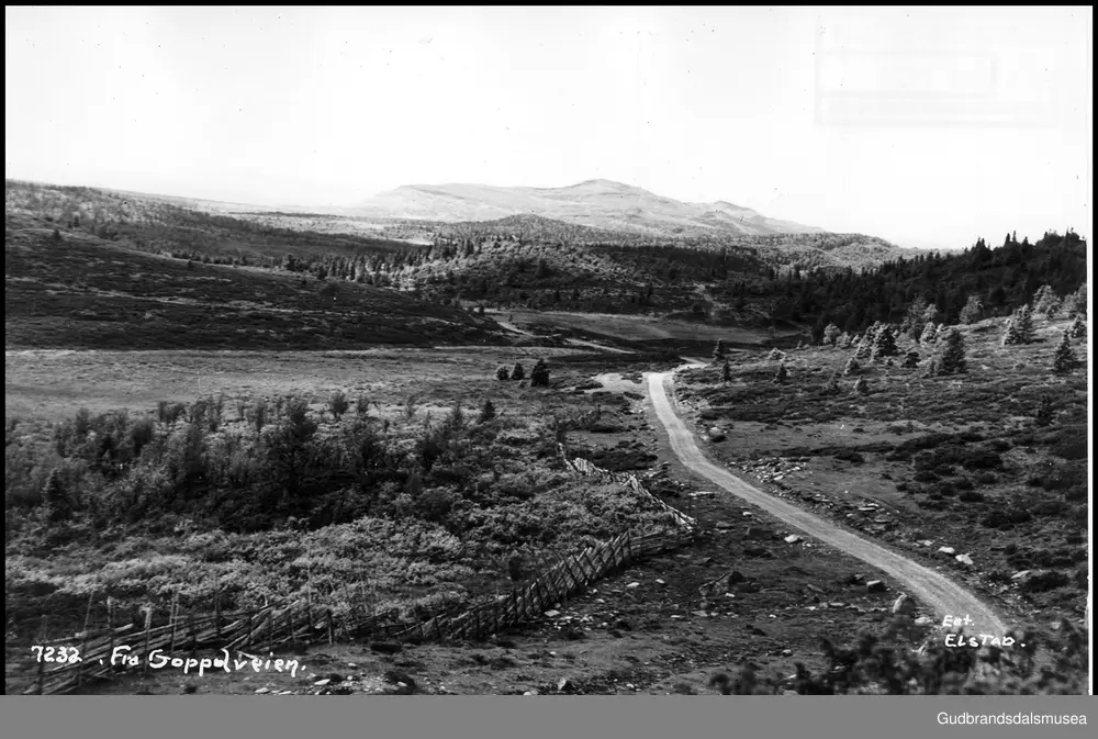 Fåvangfjellet i Ringebu.