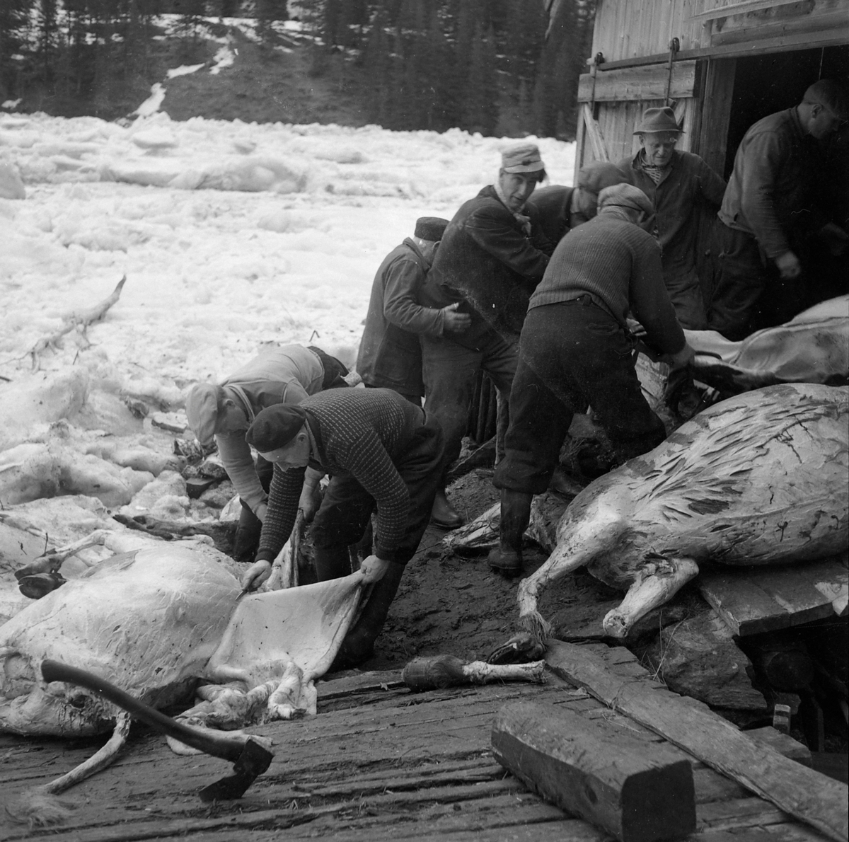 Flom og isgang ved Rolset i Selbu (kopi)