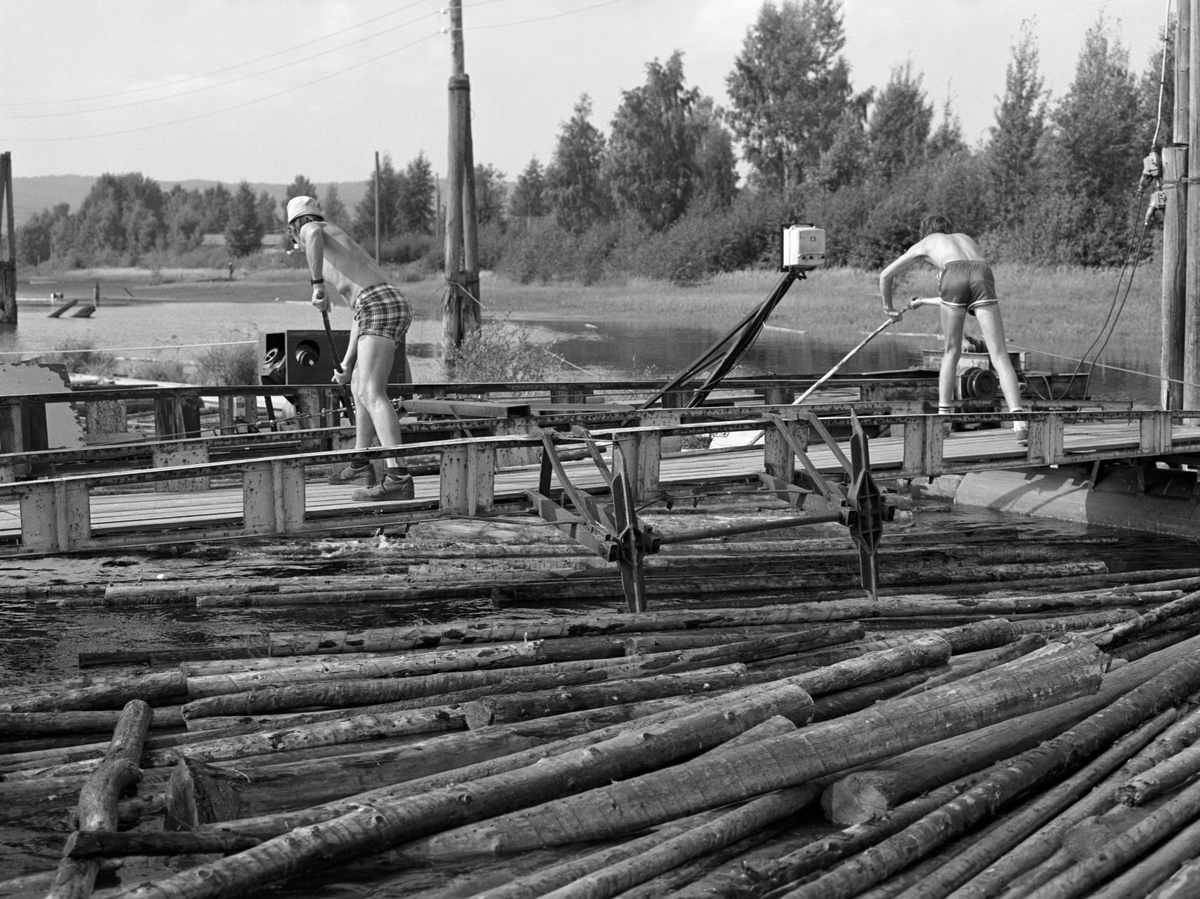 Lensearbeid i «renna» mellom retteapparatet og soppemaskinen (mosemaskinen) ved Fetsund lenser i nordenden av innsjøen Øyeren.  Fotografiet viser to fløtere, iført kortbukser, som «stikker tømmer» fra ei bru på tvers av den nevnte renna.  Ved denne brua kunne renna «penses» sidelengs, slik at tømmeret vekselvis ble ført mot den en og den andre av de to soppemaskinene ved anlegget.  Til venstre bak fløteren ser vi et stativ med en bryterboks, der det var knapper som ble brukt til å manøvrere renna.  Vi ser også hvordan brua bæres av kraftige stålpongtonger. Renna er omgitt av kraftige duc d’alber (pælekonstruksjoner, som lensearbeiderne på Fetsund kalte «gæljer» [galger]).  I bakgrunnen Glommas vestbredd ved den nedre delen av lenseanlegget. 

Den avbildete tekniske løsningen var et ledd i en større rasjonaliseringsprosess som preget siste halvdel av 1960-åra ved Fetsund lenser.  Målet var å krympe bemanninga i en periode da kvantumet med fløtingstømmer var synkende, samtidig lønnskostnadene ble stadig mer trykkende og tilgangen på folk som var interesserte i det sesongarbeidet Glomma Fellesfløtingsforening kunne tilby ved lensene også ble stadig vanskeligere.  Lenseanlegget på østsida av elva ble nedlagt etter 1965-sesongen, noe som reduserte arbeidsstokken fra 118 til cirka 60 mann.  I åra som fulgte arbeidet man med å mekanisere retteanlegget, med vaiertrekk(jfr. SJF-F. 005218) og den nevnte «overkjøringa», som gjorde det enklere å fordele virket fra renna på de to gjenværende soppemaskinene.  Etter disse endringene kunne bemanninga ute på lenseanlegget ved Fetsund krympes ned mot 30. 