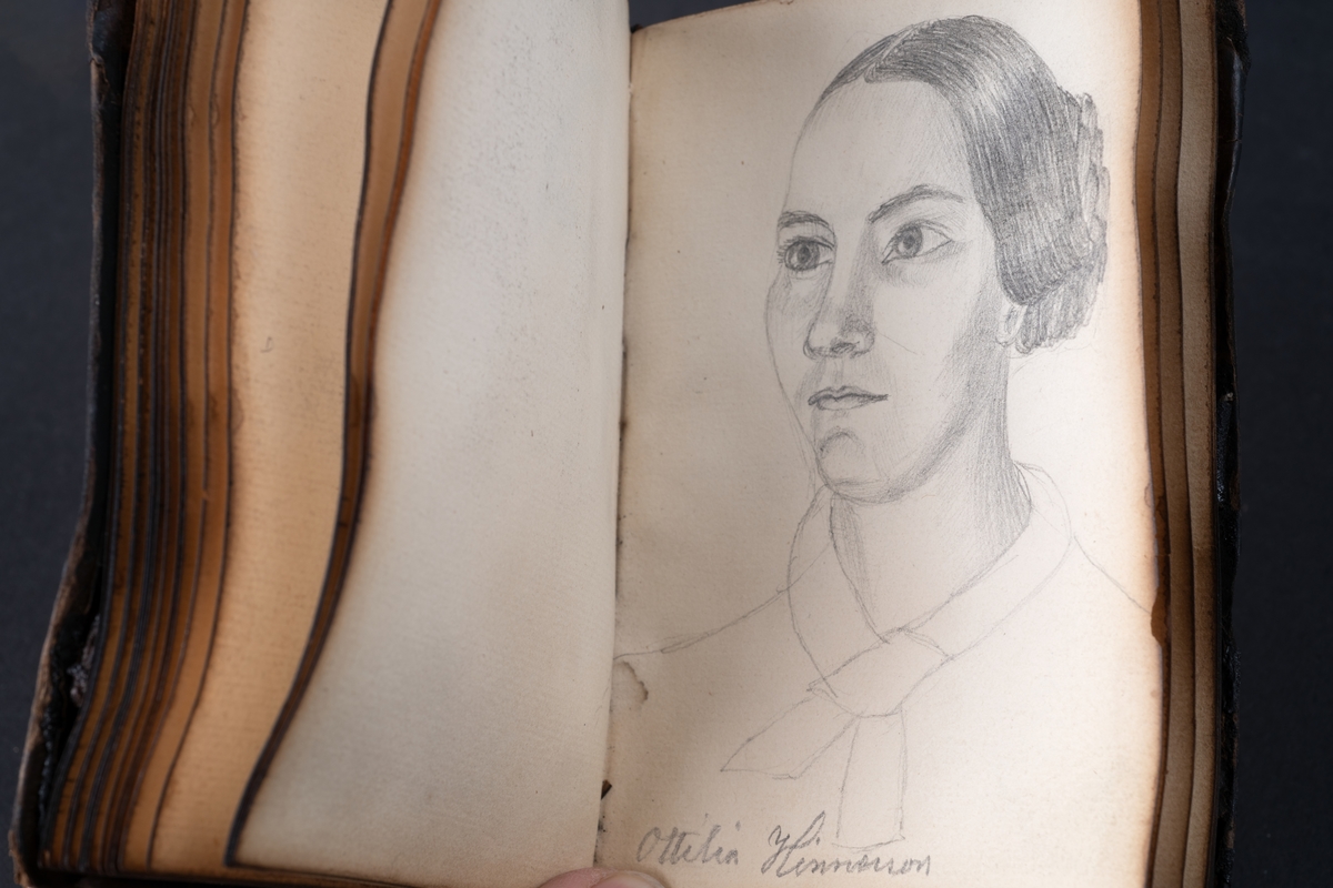 Skissbok med studieporträtt i blyerts av Wilhelmina Lagerholm (1826-1917).  Skisserna är förmodligen tecknade i Örebro under våren och sommaren 1850. I november samma år flyttade Wilhelmina Lagerholm till Stockholm för att studera teckningskonst och måleri. Boken är skadad genom brand. Några av bilderna är daterade och flera har namn på den avporträtterade. De föreställer släktingar, familjemedlemmar samt vänner och bekanta i Örebro.
Finns i OLM-PS-15, F:5