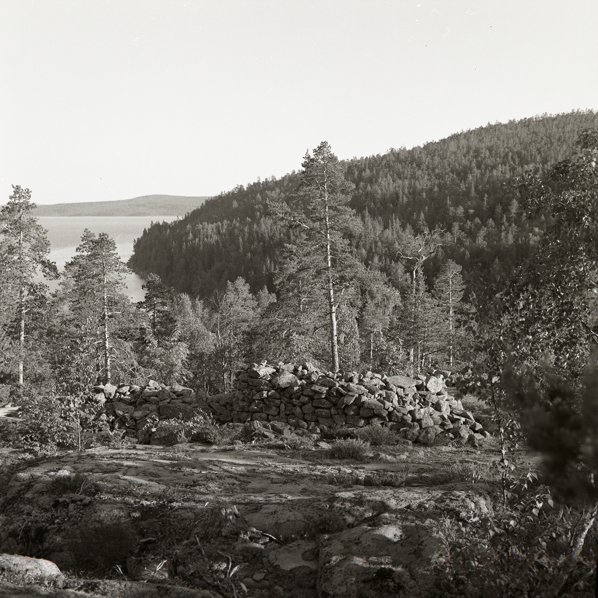 Utsikt över en vattenfylld dal omgiven av skog, Vibyggerå 1974. Uppe på höjden finns ett stenröse.