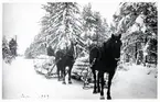 Helge Johansson, Sjökärret.
Ernst Lindblom, Björkebacken