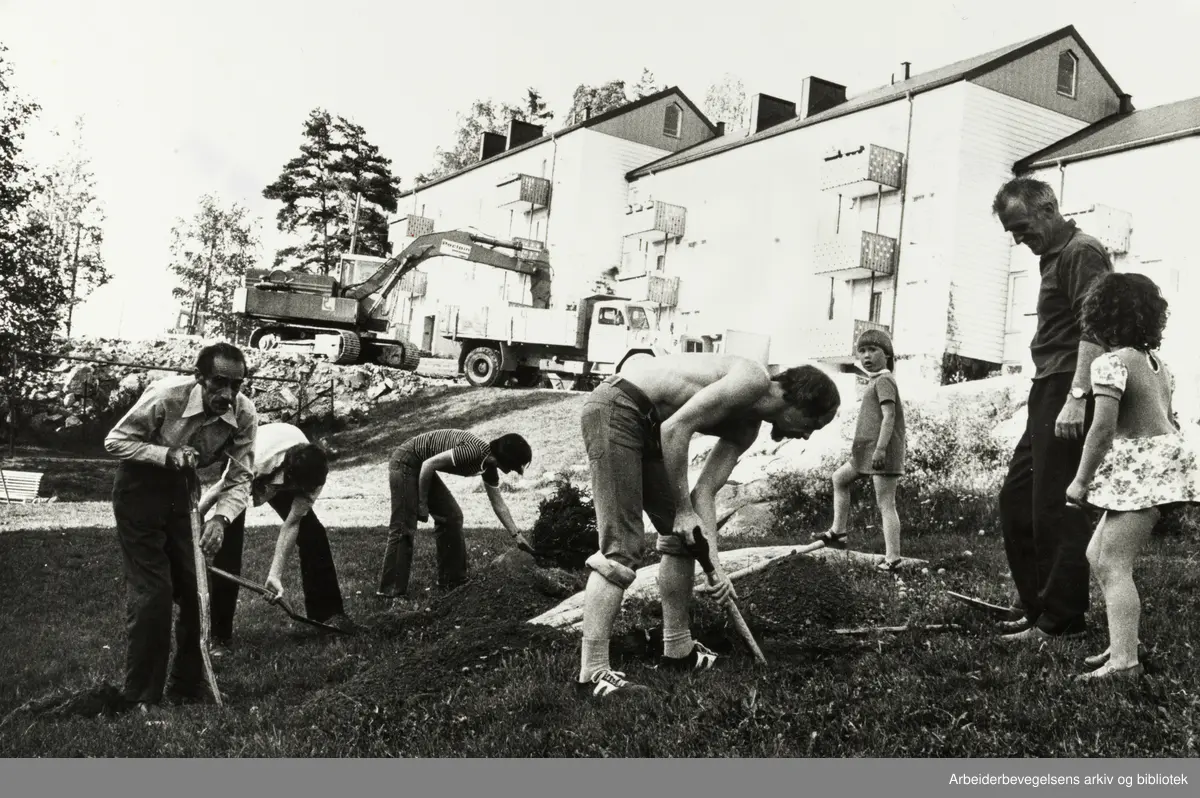 Holmlia borettslag. Juni 1978