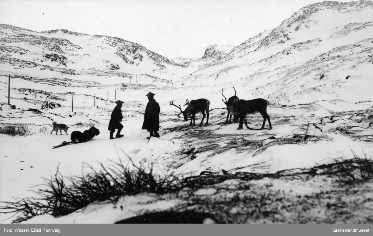 Samer og deres rein på fjellet mellom Bugøyfjord og Bugøynes. Iver Bigga til høyre.