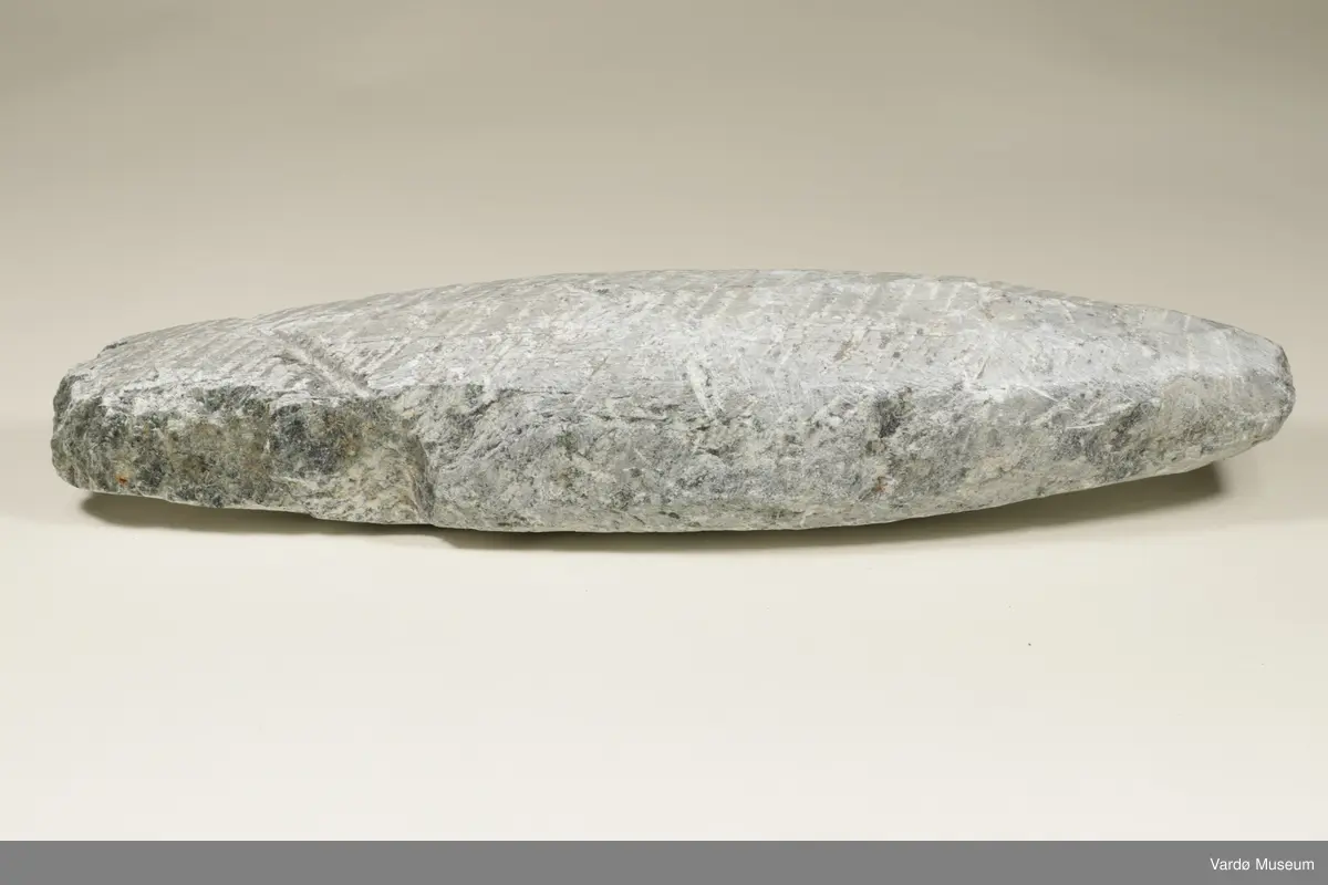 Fiskesøkkeemne