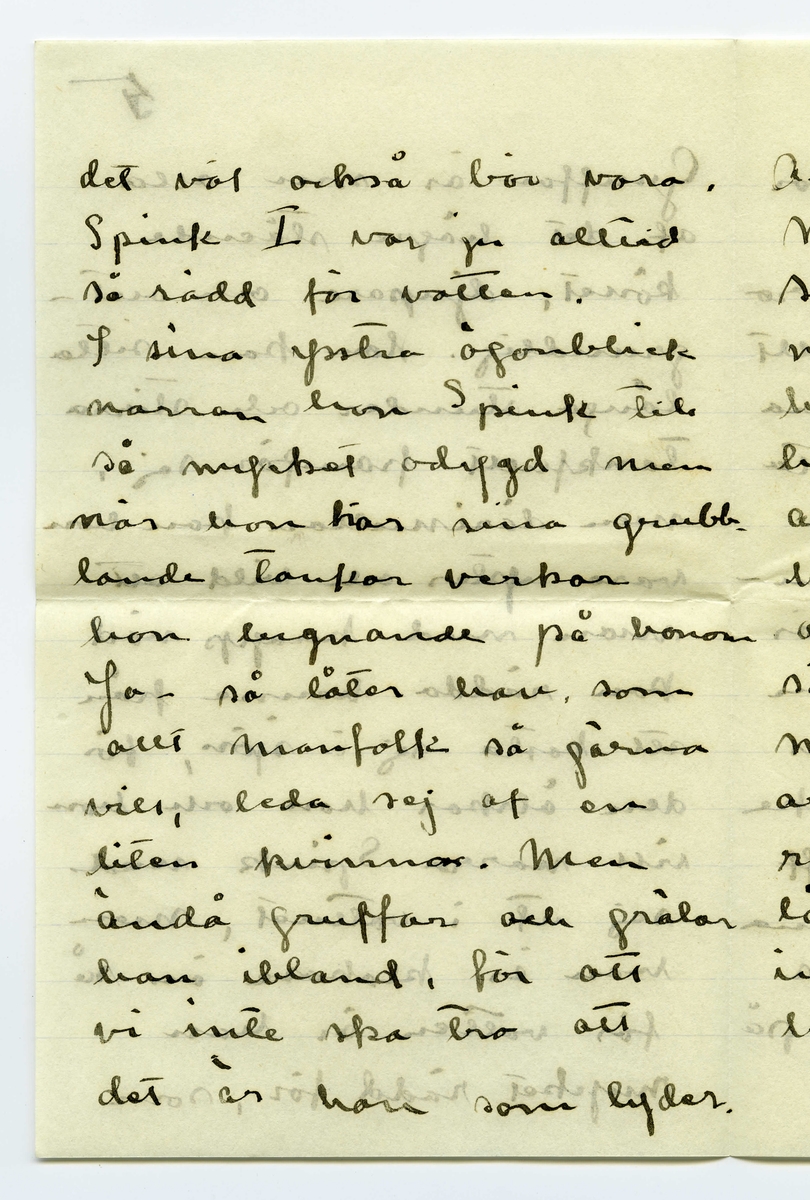 Brev 1909-06-20 från Ester Bauer till John Bauer, bestående av tolv sidor skrivna på fram- och baksidan av tre vikta pappersark. Huvudsaklig skrift handskriven med svart bläck. 
.
BREVAVSKRIFT:
.
[Sida 1]
Vidinge 20/6 09
Min älskade John
Det var tråkigt att jag
inte fick något bref från
dej då jag i fredags var
i Furusund. De foro 
inga regelbundna turer
ännu och gud vet om
de nånsin ämna göra
det. Midsommar afton
[överstruket: res] far Martin för att 
hämta sina systrar och
då får väl detta bref
följa med, sedan ska
.
[Sida 2]
de väl resa om ett
par dagar igen och då
hoppas jag få bref från
dej --- sen dröjer 
det kanske mycket länge
innan det går bud igen
men skrif i alla fall
man kan aldrig så noga
veta. I fredags lejde jag
Martin, han ville ha
2 kr. så att det blir för
dyrt att göra det ofta.
På hemvägen tog det till 
att blåsa ganska hårdt, jag
blef märkvärdigt nog 
rädd, jag som [inskrivet: de] aldrig
.
[Sida 3]
kunnat få rädd på
sjön förr. Det är skräcken
som jag fick då du seglade
med kanoten, särskilt
den där natten, som
jag vakade och väntade
på dej, det var storm
och jag trodde aldrig
att jag skulle få se dej
mera. Den skräcken
sitter i mej ännu.
Då du kommer hit ut
John – så skrif en 
lång tid förut så [överstruken bokstav] att
jag hinner få brefvet och
vara och hämta dej i
.
[Sida 4]
segelbåt, lofva mej det.
Ibland om nätterna
drömmer jag om att du 
är i sjöfara, jag förstår
inte hvad det är med
mej.----- De små ligga
på golfvet i solstrimman
och sofva nu. De binda
mej [överstruket ord] hos sej, jag kan
ju inte gå ifrån dem
jag vill inte stänga dem 
inne i den mörka ladan
så länge solen skiner.
De äro så olika hvarann.
Spinken har ett mycket
jämt lynne, alltid drum
lig och älskvärd, men
.
[Sida 5]
[överskrivet: 4 och 5]
Gruffan är som alla
af det högre stående
könet, djupare och out-
grundlig. Hon kan sitta
långa stunder och stirra
tankfullt framför sej,
men därimellan kan hon
vara yster och vild att
man med knapp nöd
kan rädda henne från
att kasta sej i sjön, för
den älskar hon och hon
vill narra Spink med
sej ut i vattnet, men
han är klokare än så
för vatten är han 
mycket rädd för, som
.
[Sida 6]
det väl också bör vara.
Spink I var ju alltid
så rädd för vatten.
I sina ystra ögonblick
narrar hon Spink till
så mycket odygd men
när hon har sina grubb-
lande tankar verkar
hon lugnande på honom
Ja – så låter han, som
allt manfolk så gärna
vill, leda sej af en 
liten kvinna. Men
ändå gruffar och grälar
han ibland, för att
vi inte ska tro att
det är han som lyder.
.
[Sida 7]
Ack ja, de manfolken.
Martin är den rödaste
socialist. Han trakterar 
mej alltid med de mäst
hårresande historier om
hur grymt elaka alla
arbetsgifvare äro och 
hurdana englar alla
arbetare äro. Då jag
säjer att alla äro vi
mer eller mindre
arbetare och att vi i
regel alltid har någon
långifvare, tycks han
inget förstå, det enda
han förstår tycks vara
.
[Sida 8]
[inskrivet: att] ämbetsmännen ha för
stora löner och att
alla grosshandlare äro
roffare. Men trots allt
skulle han vilja låna
pengar och lära och ta
studenten för att bli
en af dessa hatade äm-
betsmänn. Ja – det är
synd om honom. Han
är kypare och det vill
han inte vara, kanske
det är af sådant stoff
de värsta socialisterna
komma. Nu vakna
de små och tugga på
mattan och så ska
.
[Sida 9] 
[Längst upp över sida 9 och 12 text upp och ner: Jon-Erik ska fara till Fur---
tar han detta brefvet [överstruket ord] samt ett g eller siffran 9, alt. siffran 6 upp och ner]
jag laga middag. Adjö
med dej.
I kväll ligger hafvet som
en spegel. Jag har setat 
nere vid stranden och
hört sjöfågelskriken, de
hoade åt hvarandra och
[inskrivet: en] mamma med sina små
kommo simmande i det
metallfärgade vattnet och
måsar och tärnor singlade
i vida kretsar öfver mej.
Ja – det var vackert, gudom-
ligt vackert. Finns här väl
något ensligare än ett sjö-
fågelskrik, Och ensamheten
är så stor och vacker.
.
[Sidan 10]
[Längst upp sista ordet i en mening som börjar på sidan 11 skriven upp och ner: alla. I marginalen är inskrivet LI eller 17 upp och ner]
God natt med dej käre
Kyss din Esther.
I dag har Greta och jag
badat, jag kom just nu
hem. Vi lågo på berget
en hel timme och togo
solbad. Vattnet var kallt
så att det bet i skinnet
men härligt var det i
alla fall. Tack för [överstruket: ditt]
dinna båda bref. jag
var nyss vid ”Brändöras”
och hämtade dem (de ha
varit i Furusund i dag)
Jag satt i en björkdunge
och löste dem och jag
är så glad och kär i dej
John
.
[Sida 11]
[längst upp på sidan 11 och 10 skrivet upp och ner: Helsa så mycket till alla]
Visst är jag frisk och solbränd
och mina taxbarn må
som prinsar. För en
stund sedan gingo de
ner i en pöl med
gödselvatten och så stängde
jag in dem fastän solen
skiner ännu men något
straff ska de ha --- de
små älsklingarna. Men
nu äro de ute igen och 
nu stå de och gråta för
att jag sitter och skrifver
i stället för att leka med 
dem. De hälsa så hjärtin-
nerligt mycket til dej.
Ja – Fridas bref är verkligen
.
[Sida 12]
[längst upp på sidan skrivet upp och ner en text som är skriven över sidorna 9 och 12: [sida 9: Jon-Erik ska fara till Fur /sida 12: usund i morgon och då /sida 9: tar han detta brefvet /sida 12: med. Adjö med dej Johnne]
karaktäristiskt för henne,
jag skall skrifva och äckla[?]
henne och till Åbergs [not: kan även stå Öbergs]
skall jag också skrifva
en vacker kväll och det
äro ju alla här ute.
Men John, hvad jag länk-
tas efter dej min egen käre
John hvad jag då skulle
kyssa din munn och kry-
pa upp i din famn. Ack ja
---- men du kommer ju
snart eller hur? Jag är
så glad åt dej. Lille Spinken
hälsar särskilt till dej, han
blir allt mer och mer lik
vår förre lille Spink..
Kyss mej min egen käre
John