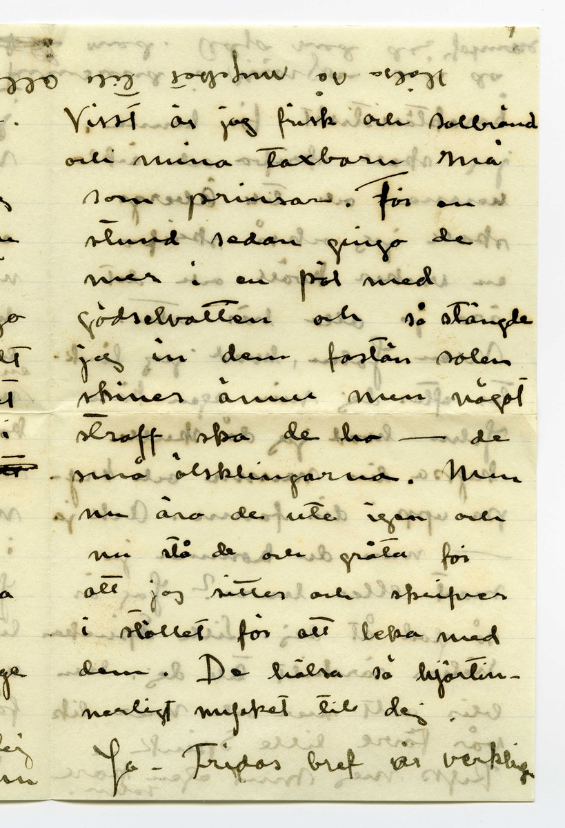 Brev 1909-06-20 från Ester Bauer till John Bauer, bestående av tolv sidor skrivna på fram- och baksidan av tre vikta pappersark. Huvudsaklig skrift handskriven med svart bläck. 
.
BREVAVSKRIFT:
.
[Sida 1]
Vidinge 20/6 09
Min älskade John
Det var tråkigt att jag
inte fick något bref från
dej då jag i fredags var
i Furusund. De foro 
inga regelbundna turer
ännu och gud vet om
de nånsin ämna göra
det. Midsommar afton
[överstruket: res] far Martin för att 
hämta sina systrar och
då får väl detta bref
följa med, sedan ska
.
[Sida 2]
de väl resa om ett
par dagar igen och då
hoppas jag få bref från
dej --- sen dröjer 
det kanske mycket länge
innan det går bud igen
men skrif i alla fall
man kan aldrig så noga
veta. I fredags lejde jag
Martin, han ville ha
2 kr. så att det blir för
dyrt att göra det ofta.
På hemvägen tog det till 
att blåsa ganska hårdt, jag
blef märkvärdigt nog 
rädd, jag som [inskrivet: de] aldrig
.
[Sida 3]
kunnat få rädd på
sjön förr. Det är skräcken
som jag fick då du seglade
med kanoten, särskilt
den där natten, som
jag vakade och väntade
på dej, det var storm
och jag trodde aldrig
att jag skulle få se dej
mera. Den skräcken
sitter i mej ännu.
Då du kommer hit ut
John – så skrif en 
lång tid förut så [överstruken bokstav] att
jag hinner få brefvet och
vara och hämta dej i
.
[Sida 4]
segelbåt, lofva mej det.
Ibland om nätterna
drömmer jag om att du 
är i sjöfara, jag förstår
inte hvad det är med
mej.----- De små ligga
på golfvet i solstrimman
och sofva nu. De binda
mej [överstruket ord] hos sej, jag kan
ju inte gå ifrån dem
jag vill inte stänga dem 
inne i den mörka ladan
så länge solen skiner.
De äro så olika hvarann.
Spinken har ett mycket
jämt lynne, alltid drum
lig och älskvärd, men
.
[Sida 5]
[överskrivet: 4 och 5]
Gruffan är som alla
af det högre stående
könet, djupare och out-
grundlig. Hon kan sitta
långa stunder och stirra
tankfullt framför sej,
men därimellan kan hon
vara yster och vild att
man med knapp nöd
kan rädda henne från
att kasta sej i sjön, för
den älskar hon och hon
vill narra Spink med
sej ut i vattnet, men
han är klokare än så
för vatten är han 
mycket rädd för, som
.
[Sida 6]
det väl också bör vara.
Spink I var ju alltid
så rädd för vatten.
I sina ystra ögonblick
narrar hon Spink till
så mycket odygd men
när hon har sina grubb-
lande tankar verkar
hon lugnande på honom
Ja – så låter han, som
allt manfolk så gärna
vill, leda sej af en 
liten kvinna. Men
ändå gruffar och grälar
han ibland, för att
vi inte ska tro att
det är han som lyder.
.
[Sida 7]
Ack ja, de manfolken.
Martin är den rödaste
socialist. Han trakterar 
mej alltid med de mäst
hårresande historier om
hur grymt elaka alla
arbetsgifvare äro och 
hurdana englar alla
arbetare äro. Då jag
säjer att alla äro vi
mer eller mindre
arbetare och att vi i
regel alltid har någon
långifvare, tycks han
inget förstå, det enda
han förstår tycks vara
.
[Sida 8]
[inskrivet: att] ämbetsmännen ha för
stora löner och att
alla grosshandlare äro
roffare. Men trots allt
skulle han vilja låna
pengar och lära och ta
studenten för att bli
en af dessa hatade äm-
betsmänn. Ja – det är
synd om honom. Han
är kypare och det vill
han inte vara, kanske
det är af sådant stoff
de värsta socialisterna
komma. Nu vakna
de små och tugga på
mattan och så ska
.
[Sida 9] 
[Längst upp över sida 9 och 12 text upp och ner: Jon-Erik ska fara till Fur---
tar han detta brefvet [överstruket ord] samt ett g eller siffran 9, alt. siffran 6 upp och ner]
jag laga middag. Adjö
med dej.
I kväll ligger hafvet som
en spegel. Jag har setat 
nere vid stranden och
hört sjöfågelskriken, de
hoade åt hvarandra och
[inskrivet: en] mamma med sina små
kommo simmande i det
metallfärgade vattnet och
måsar och tärnor singlade
i vida kretsar öfver mej.
Ja – det var vackert, gudom-
ligt vackert. Finns här väl
något ensligare än ett sjö-
fågelskrik, Och ensamheten
är så stor och vacker.
.
[Sidan 10]
[Längst upp sista ordet i en mening som börjar på sidan 11 skriven upp och ner: alla. I marginalen är inskrivet LI eller 17 upp och ner]
God natt med dej käre
Kyss din Esther.
I dag har Greta och jag
badat, jag kom just nu
hem. Vi lågo på berget
en hel timme och togo
solbad. Vattnet var kallt
så att det bet i skinnet
men härligt var det i
alla fall. Tack för [överstruket: ditt]
dinna båda bref. jag
var nyss vid ”Brändöras”
och hämtade dem (de ha
varit i Furusund i dag)
Jag satt i en björkdunge
och löste dem och jag
är så glad och kär i dej
John
.
[Sida 11]
[längst upp på sidan 11 och 10 skrivet upp och ner: Helsa så mycket till alla]
Visst är jag frisk och solbränd
och mina taxbarn må
som prinsar. För en
stund sedan gingo de
ner i en pöl med
gödselvatten och så stängde
jag in dem fastän solen
skiner ännu men något
straff ska de ha --- de
små älsklingarna. Men
nu äro de ute igen och 
nu stå de och gråta för
att jag sitter och skrifver
i stället för att leka med 
dem. De hälsa så hjärtin-
nerligt mycket til dej.
Ja – Fridas bref är verkligen
.
[Sida 12]
[längst upp på sidan skrivet upp och ner en text som är skriven över sidorna 9 och 12: [sida 9: Jon-Erik ska fara till Fur /sida 12: usund i morgon och då /sida 9: tar han detta brefvet /sida 12: med. Adjö med dej Johnne]
karaktäristiskt för henne,
jag skall skrifva och äckla[?]
henne och till Åbergs [not: kan även stå Öbergs]
skall jag också skrifva
en vacker kväll och det
äro ju alla här ute.
Men John, hvad jag länk-
tas efter dej min egen käre
John hvad jag då skulle
kyssa din munn och kry-
pa upp i din famn. Ack ja
---- men du kommer ju
snart eller hur? Jag är
så glad åt dej. Lille Spinken
hälsar särskilt till dej, han
blir allt mer och mer lik
vår förre lille Spink..
Kyss mej min egen käre
John