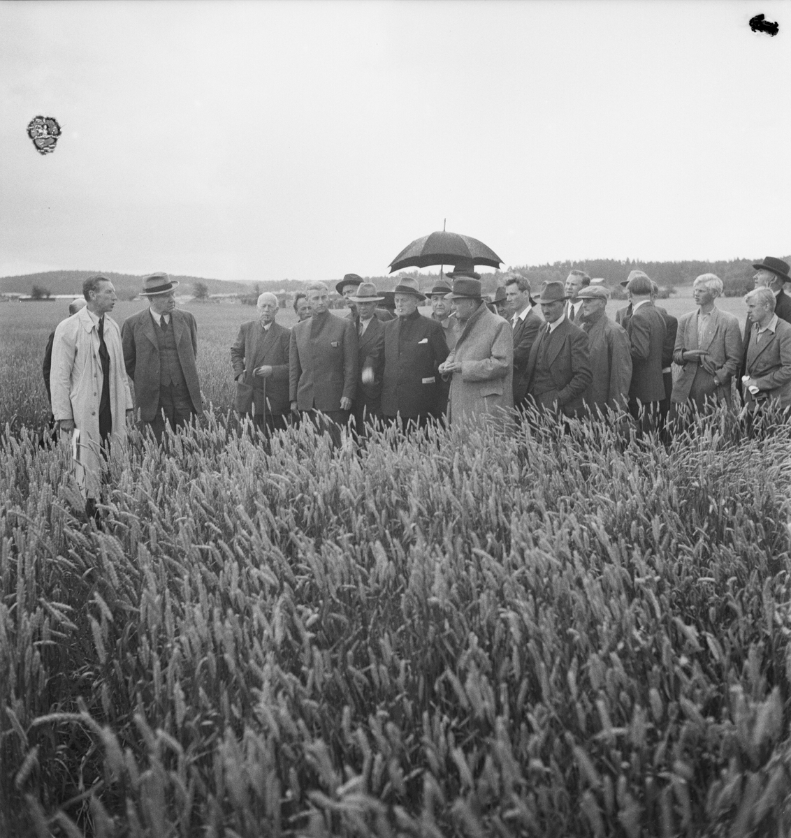 Utsädesföreningen, Uppsala 1947