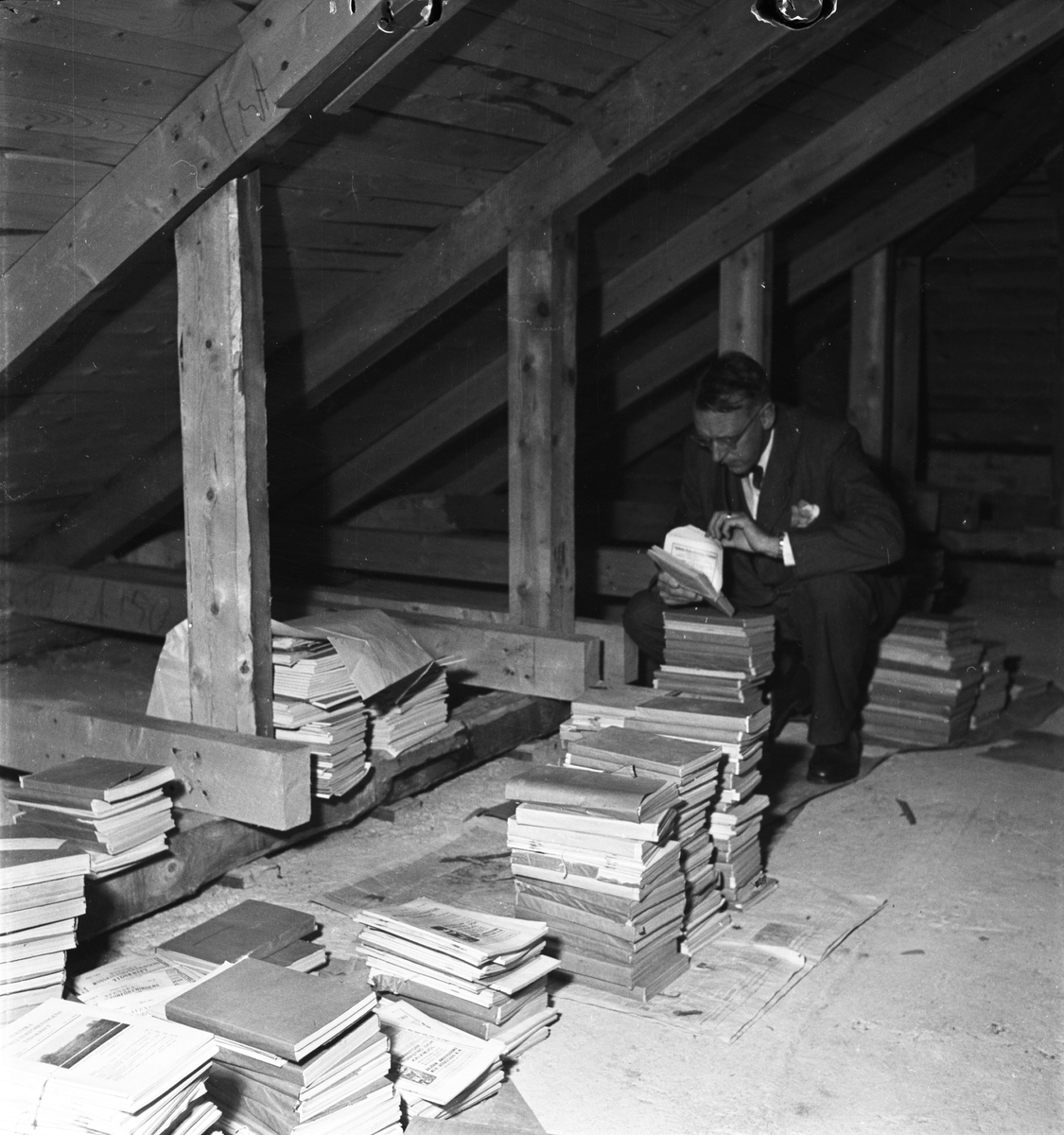 "Dåligt bibliotek", Lantbrukshögskolan, Ultuna, Uppsala 1953