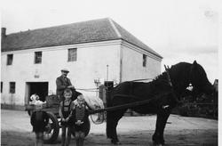 Severin Skårland med hest og mjølkekjerre framfor meieriet p