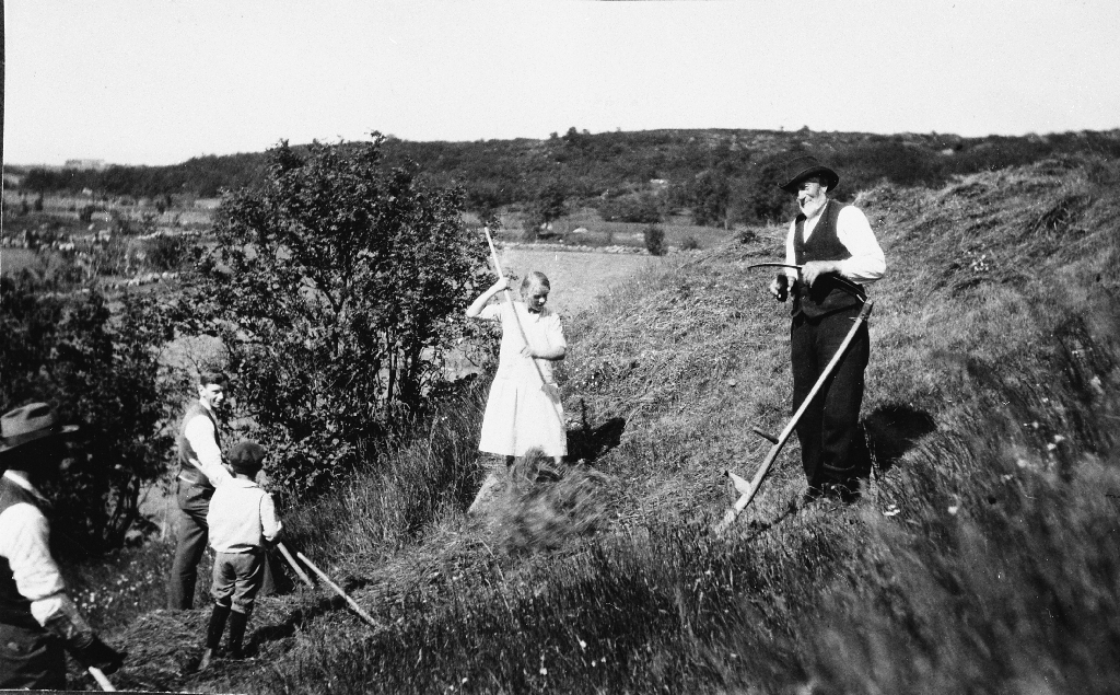 Slått på Tjensvoll. Til høgre Eivind Tjensvoll (1844 - ) med langorv. Jenta med rive er Ingrid Tjensvoll, dotter til Eilert Tjensvoll.