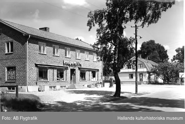 Vykort "Kooperativa i Simlångsdalen", inrymd i modern tegelbyggnad med stora skyltfönster och tresidig trappa. En bensinpump står vid gaveln. I bakgrunden syns ett bostadshus och i förgrunden en björk.

Text fotokopians baksida: "500 st vykort. Avsk. enl. mall. Text enl. nedan. Blankt med vit kant. Detta fotografi, nr, M199, får, vid laga påföljd, icke utan särskilt tillstånd reproduceras. O LILLJEQVIST KONSTFÖRLAG DALS LÅNGED.