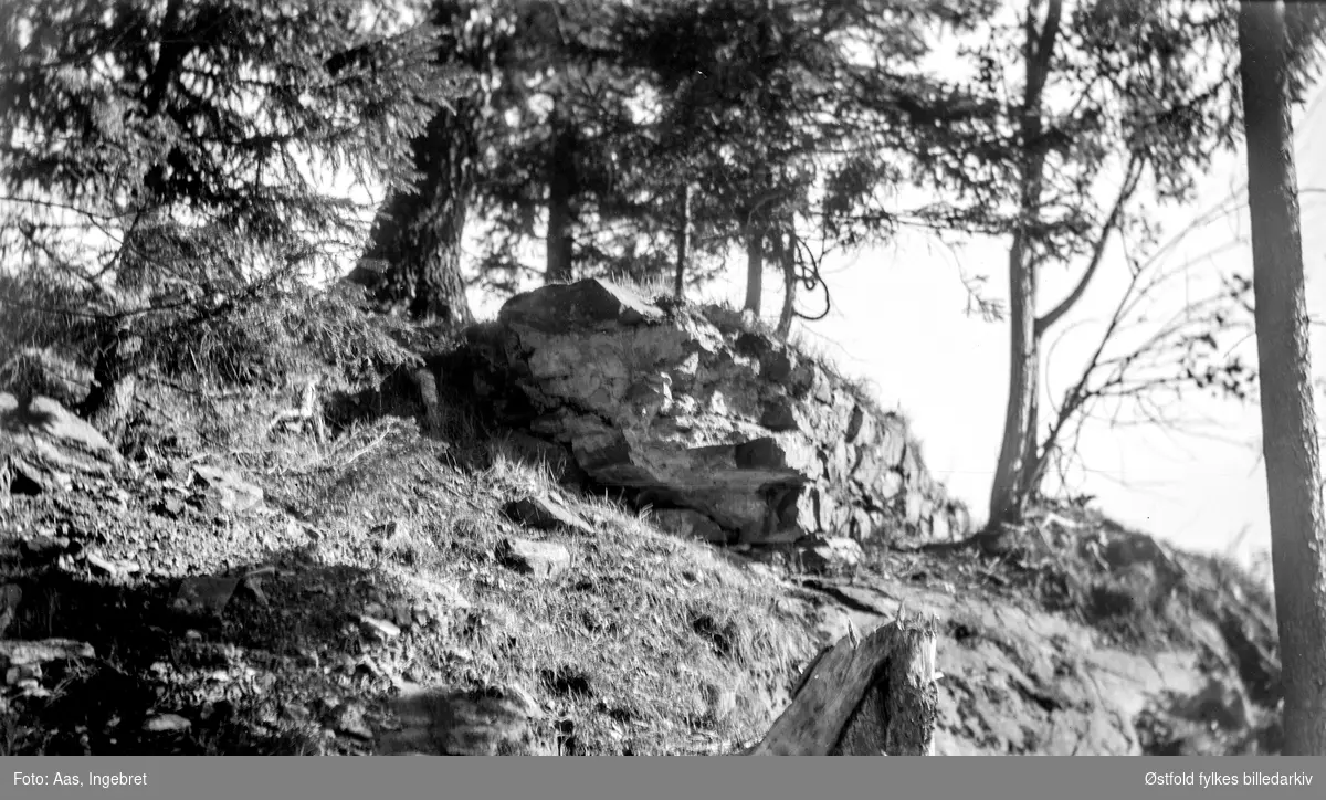 Valdisholm i Eidsberg 1932, med borgruiner fra 1200-årene. 
Rest av gråstensmuren på vestpartiet av Valdisholm i Eidsberg.Valdisholm, også kalt Vallersøy, ligger i Glomma mellom Skiptvet og Eidsberg i Østfold. På denne lille holmen ligger restene av en middelalderborg. Borgen ble reist som et ledd i et større forsvarssystem som vokste fram under borgerkrigene på 1200-tallet. Borgruinen på Valdisholm er først beskrevet i moderne tid av Jacob Nicolaj Wilse på 1770-tallet. Han beskriver murrester av gråstein og tegl, lagt i kalk. Ruinen må allerede på den tiden ha vært fragmentarisk, men antakelig vesentlig bedre bevart enn i dag.