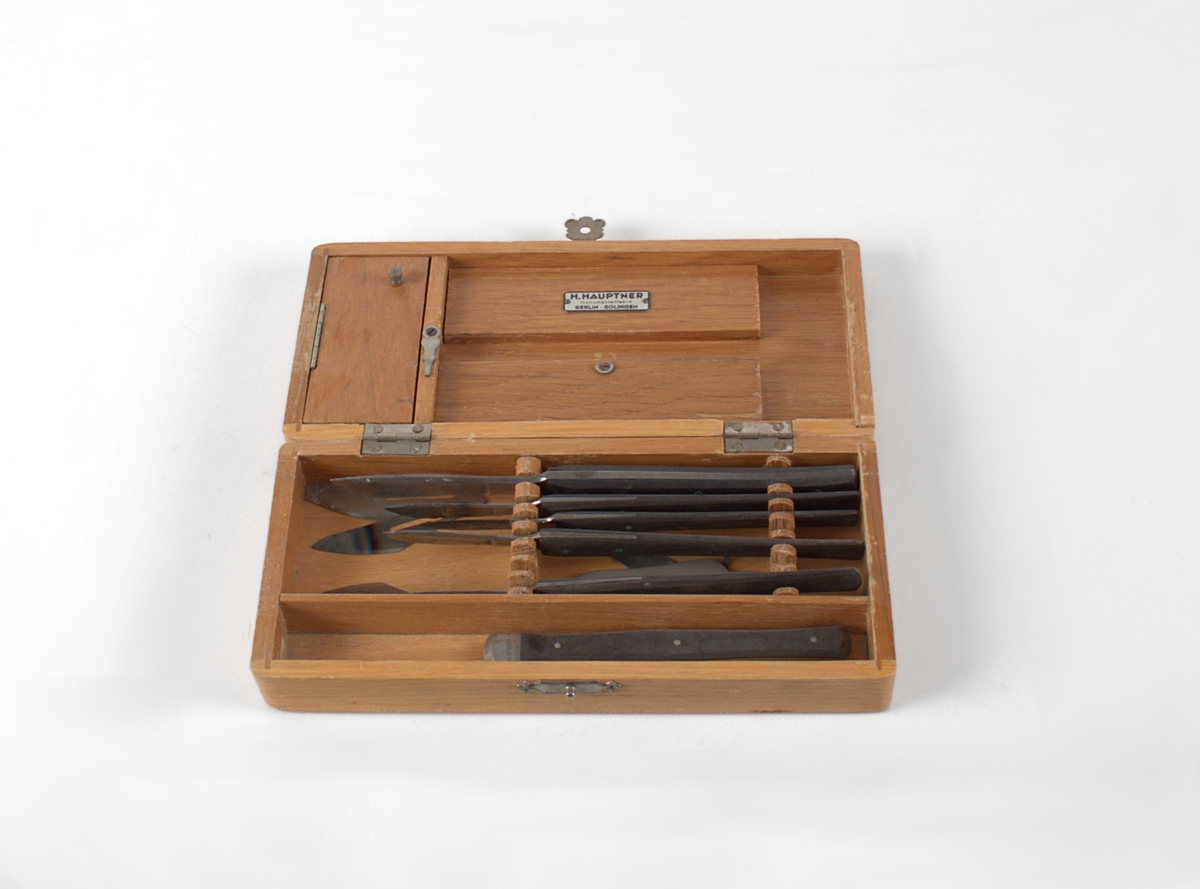 Skalpeller i oppbevaringseske i tre.