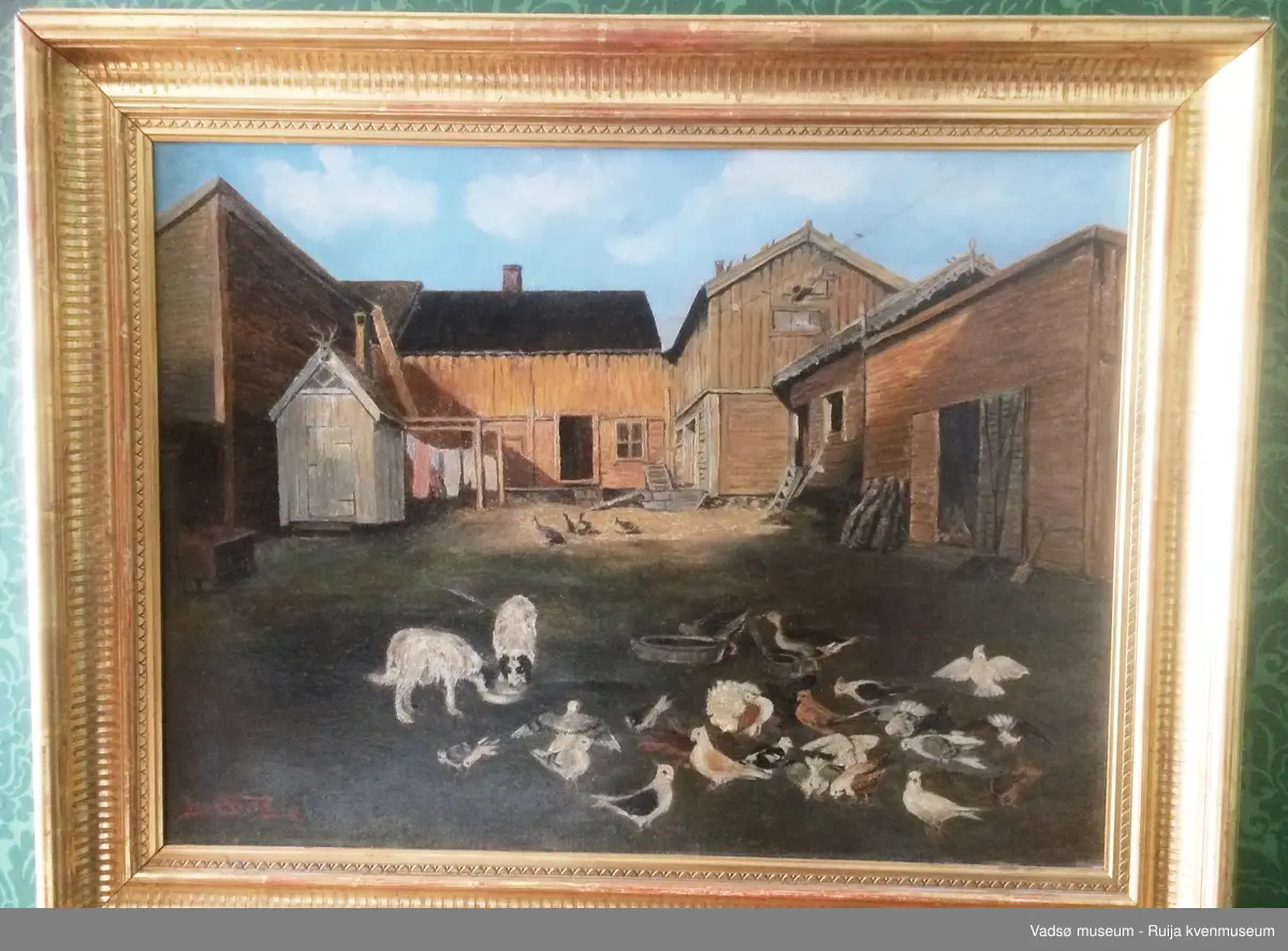 Bakgårdsmotiv fra gård i Vadsø med flere bygninger og uthus, hunder, gjess, duer.