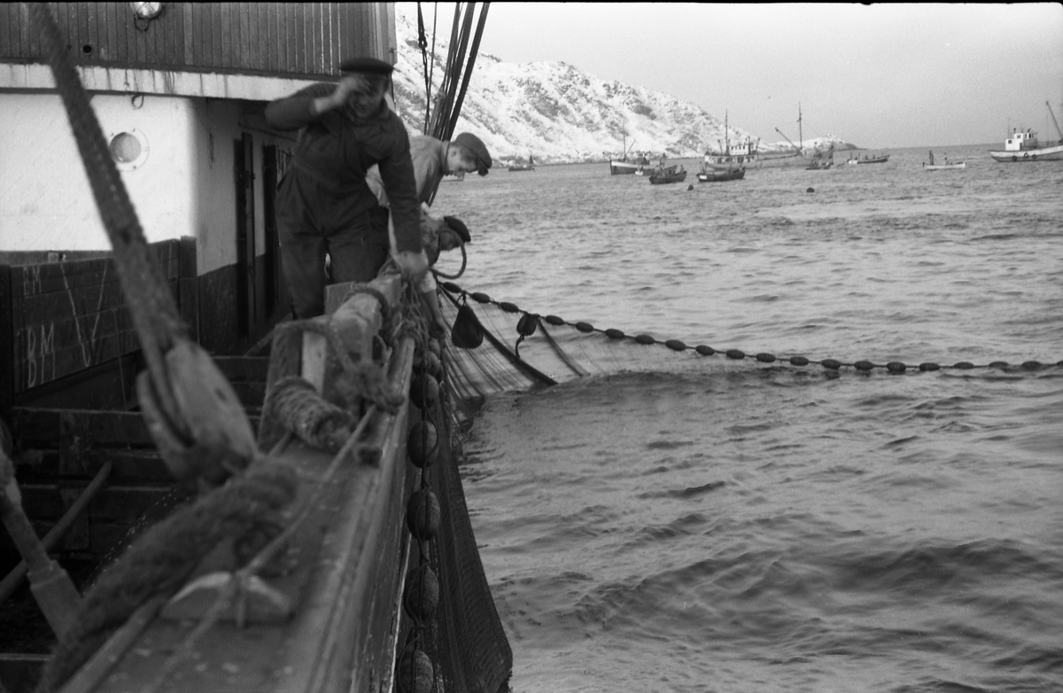 Serie på 10 bilder fra et fiskefelt, trolig sildefiske med not. Bildene er tatt av en person ombord i ei skøyte som trolig heter KIDD, og viser ulike faser i fangstprosessen. Hvor bildene er tatt er ukjent. Ingen av personene, er identifisert.