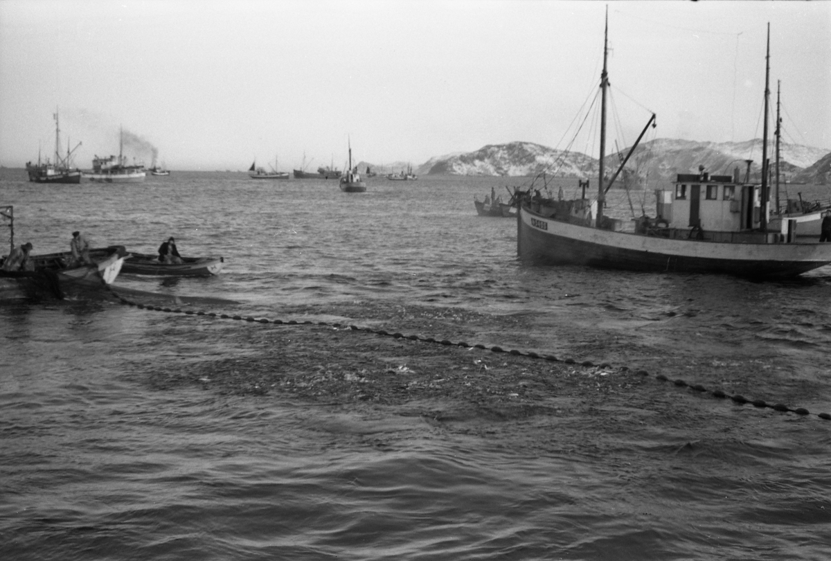 Serie på 10 bilder fra et fiskefelt, trolig sildefiske med not. Bildene er tatt av en person ombord i ei skøyte som trolig heter KIDD, og viser ulike faser i fangstprosessen. Hvor bildene er tatt er ukjent. Ingen av personene, er identifisert.