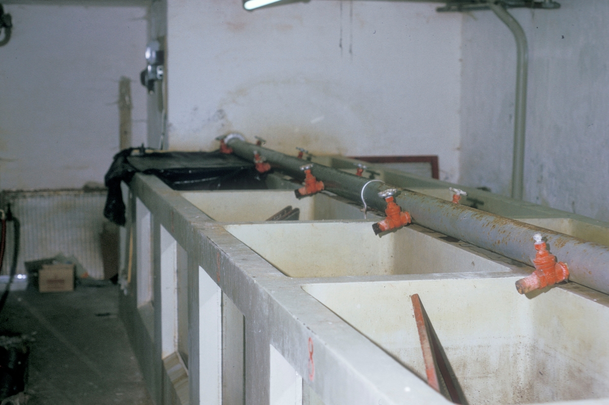 Forsøgsdambruget i Brøns, Danmark, 1974 : Detalj fra dambruket. En rekke kar med et rørsystem.